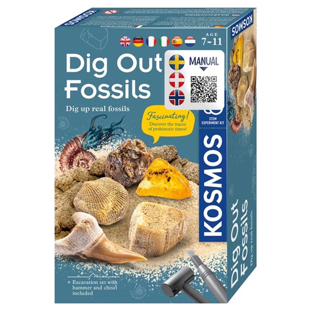 Dig Out Fossils