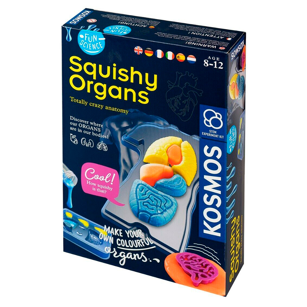 Fun Science - Squichy Organs