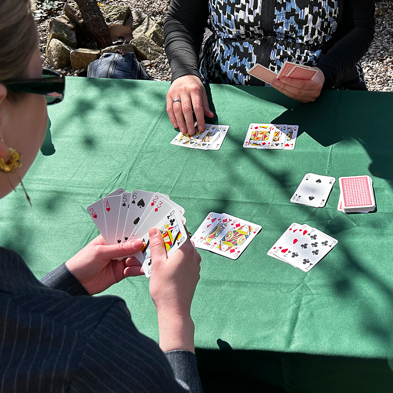 Folk der spiller 500/Rommy